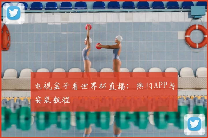 电视盒子看世界杯直播：热门APP与安装教程