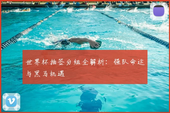 世界杯抽签分组全解析:强队命运与黑马机遇