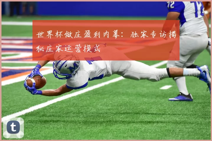 世界杯做庄盈利内幕:独家专访揭秘庄家运营模式
