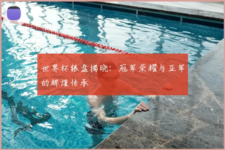 世界杯银盘揭晓:冠军荣耀与亚军的辉煌传承