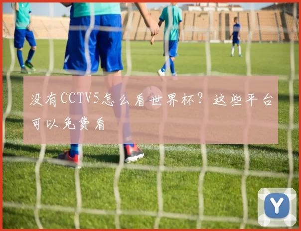 没有CCTV5怎么看世界杯？这些平台可以免费看