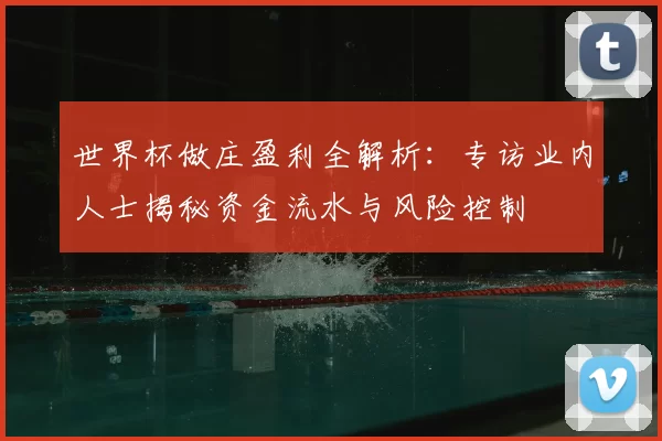 世界杯做庄盈利全解析:专访业内人士揭秘资金流水与风险控制