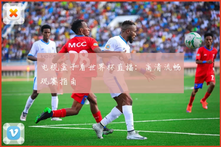 电视盒子看世界杯直播:高清流畅观赛指南