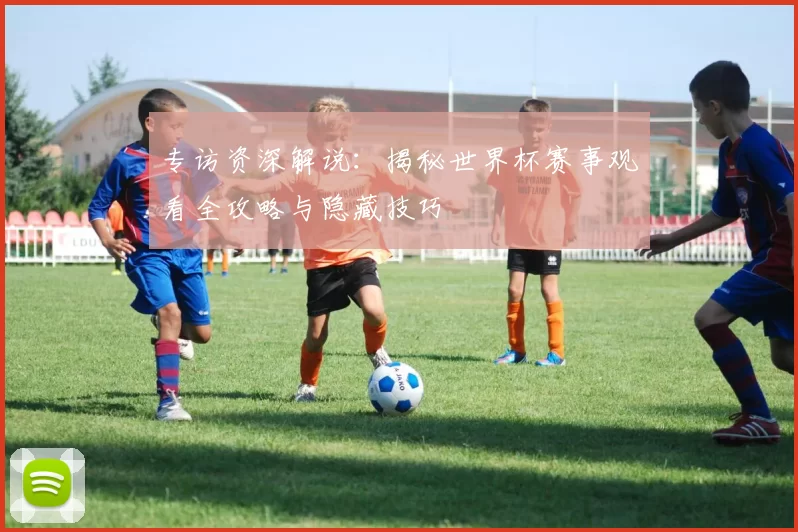 专访资深解说：揭秘世界杯赛事观看全攻略与隐藏技巧