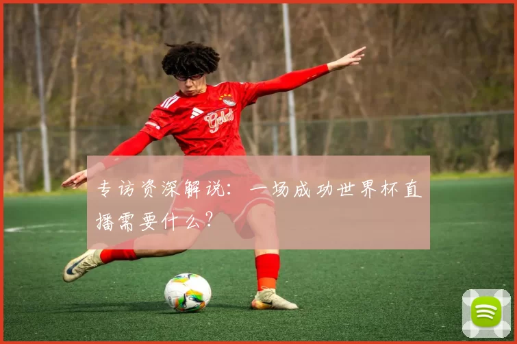 专访资深解说：一场成功世界杯直播需要什么？