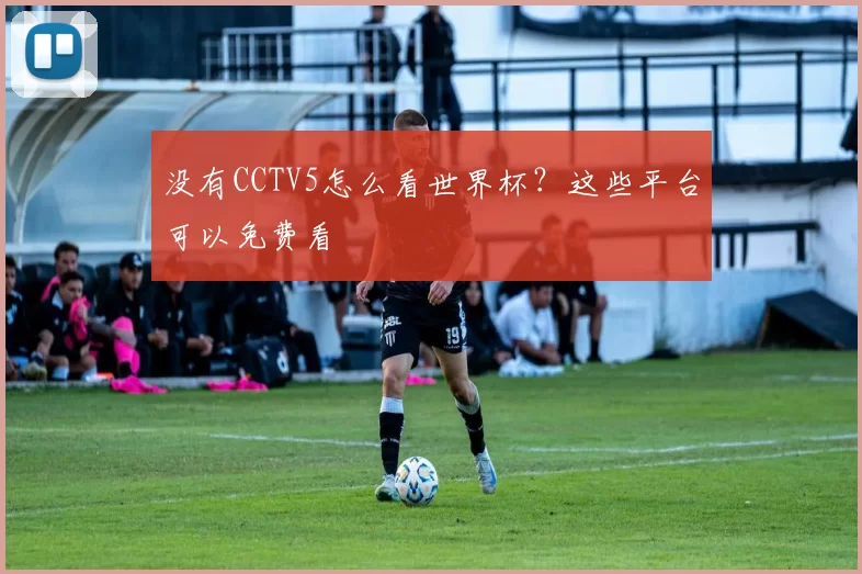 没有CCTV5怎么看世界杯?这些平台可以免费看