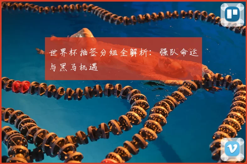 世界杯抽签分组全解析：强队命运与黑马机遇