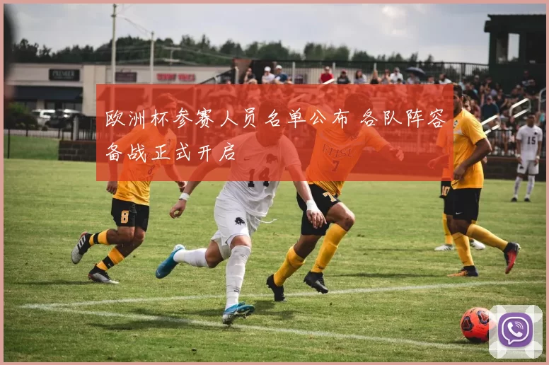 欧洲杯参赛人员名单公布 各队阵容备战正式开启